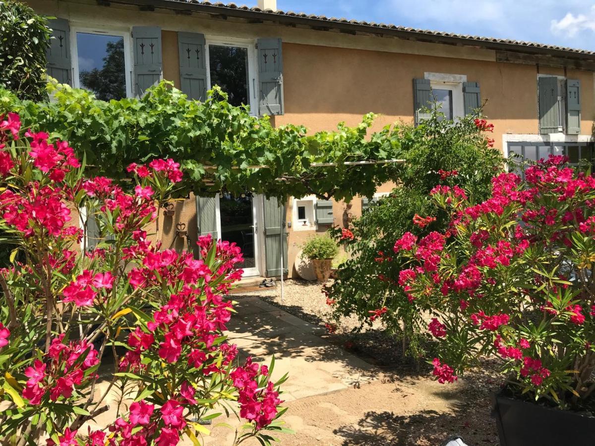 La Gatille Villie-Morgon Exterior photo